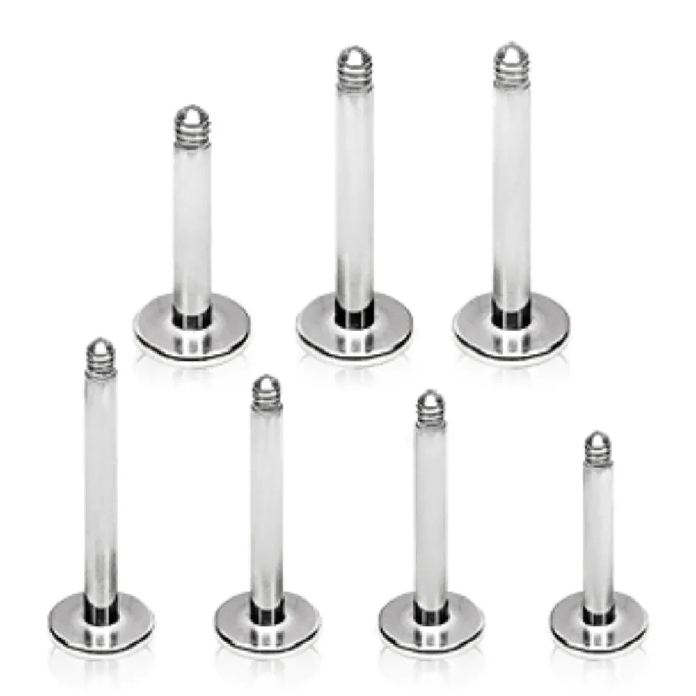 10pcs Package of 316L Surgical Steel Threaded Labret Bars
