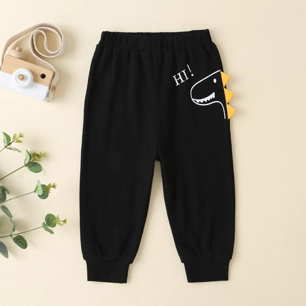 Boys Dinosaur Letter Printed Long Sleeve Tops & Pants