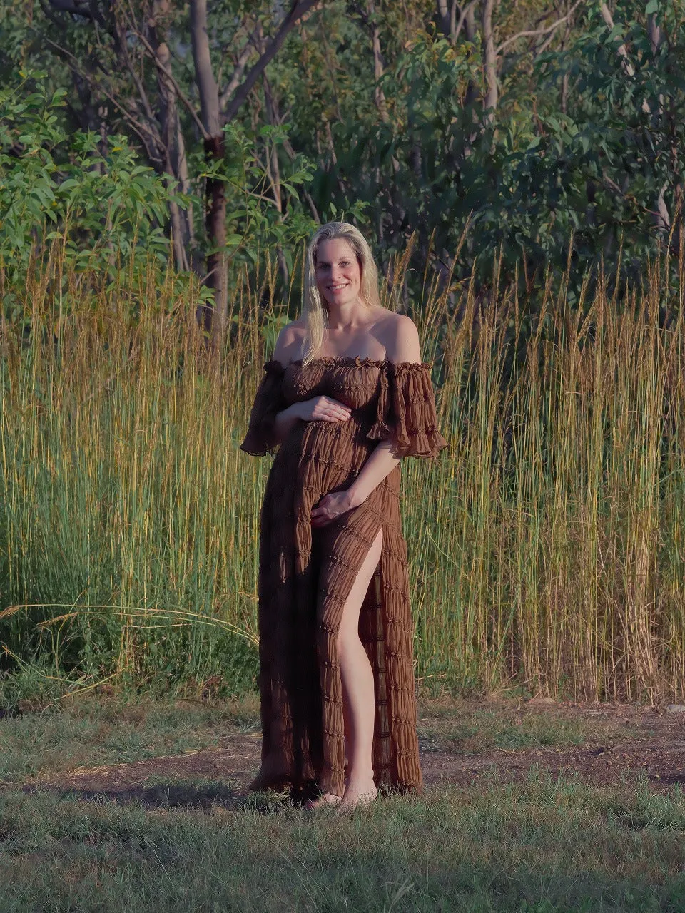 Maternity Photoshoot Dresses - Chiffon Brown Gown