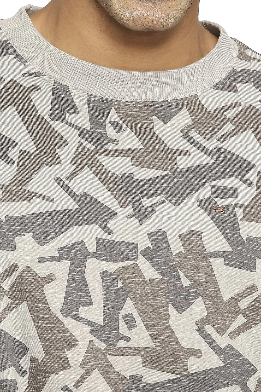 Relaxed Fit Printed Crew T-shirt