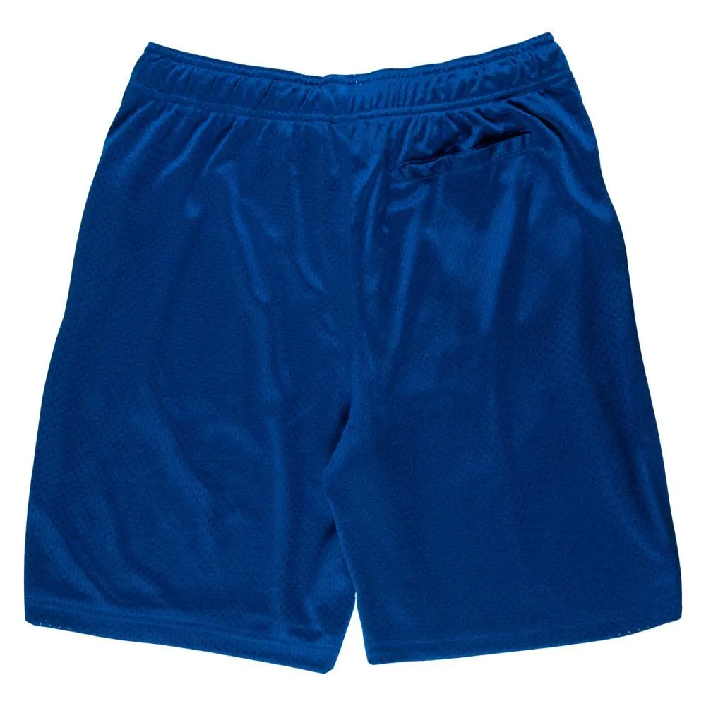 Santa Cruz Shorts Opus Dot Mesh Short - Blue
