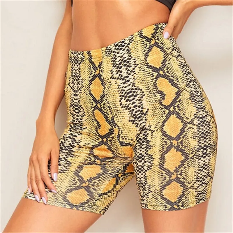 Snake Print High Waist Shorts