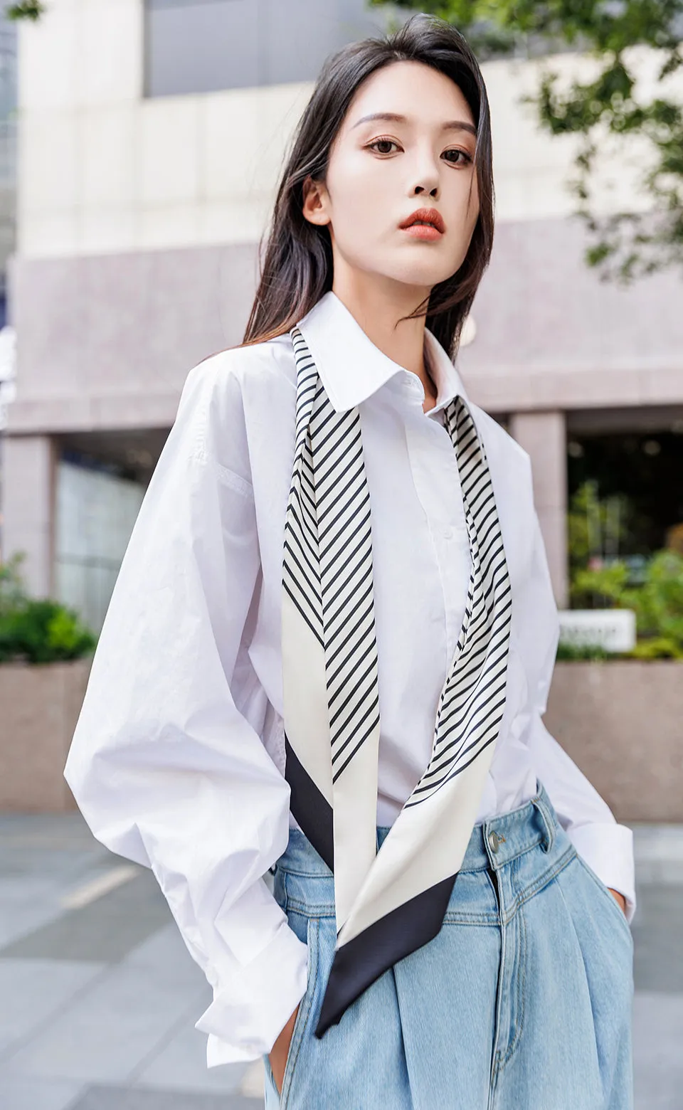 Stylish Poplin Shirt